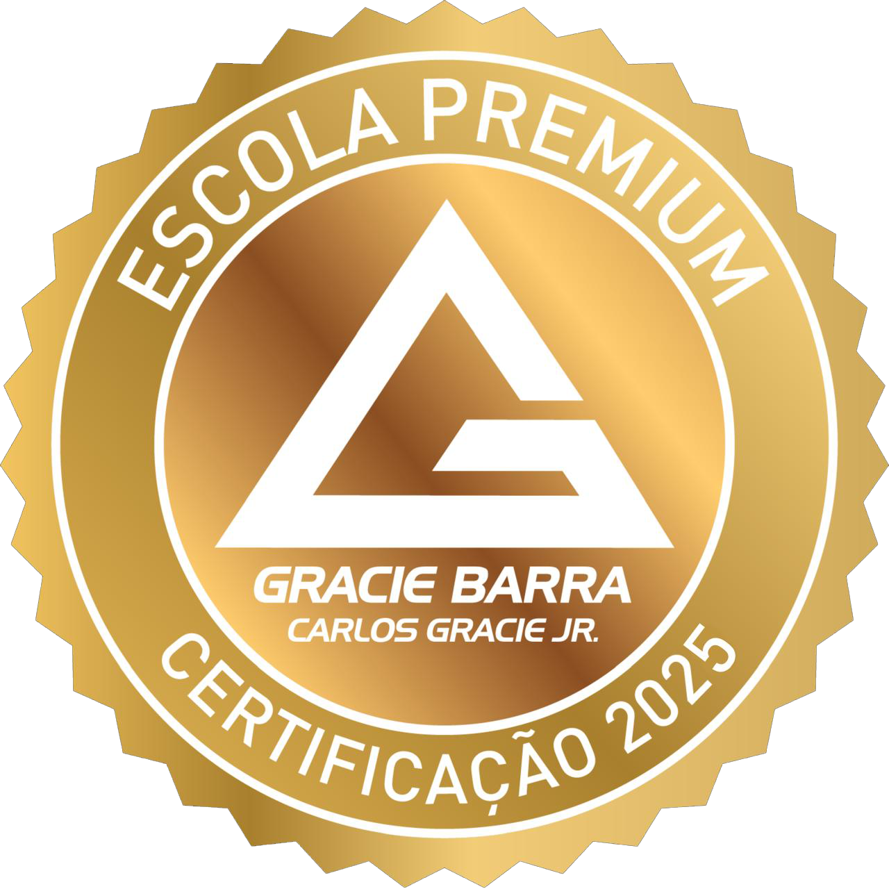Gracie Barra Manoel Ribas